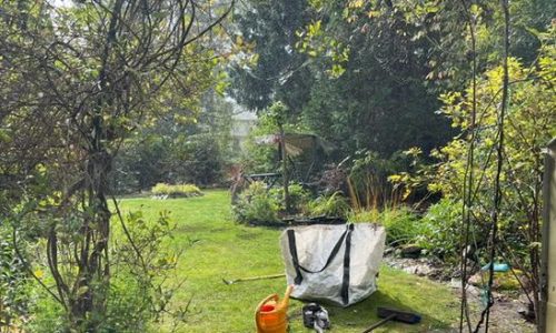 6A54618D-9162-4161-91B1-B0D93D41AB9F